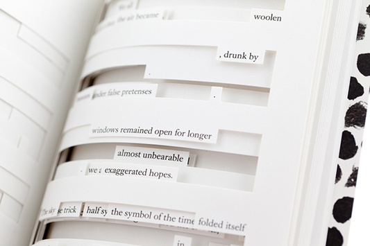 The die-cutting process shown in “Tree of Codes” (Visual Editions) 