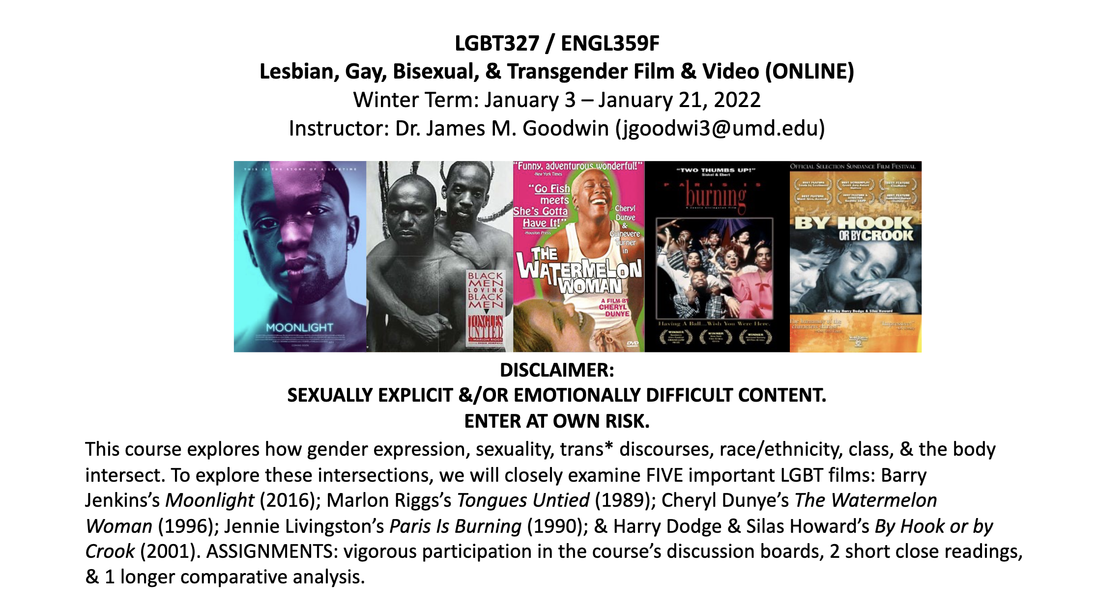 Gay video sites