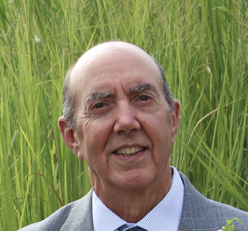 Headshot of Vincent Carretta smiling in a suit standing in front of greenery